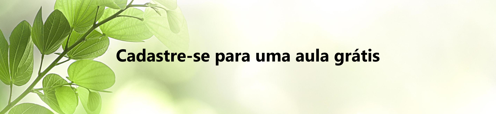 banner03